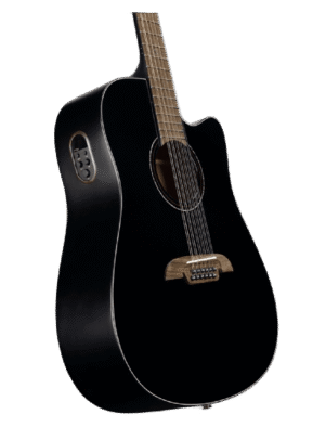 ALVAREZ AD60CE 12-STRING_1