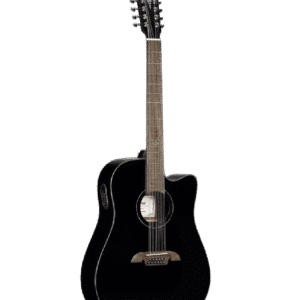 Alvarez AD60CE Acoustic-Electric Guitar – 12-String, Rich Full Sound