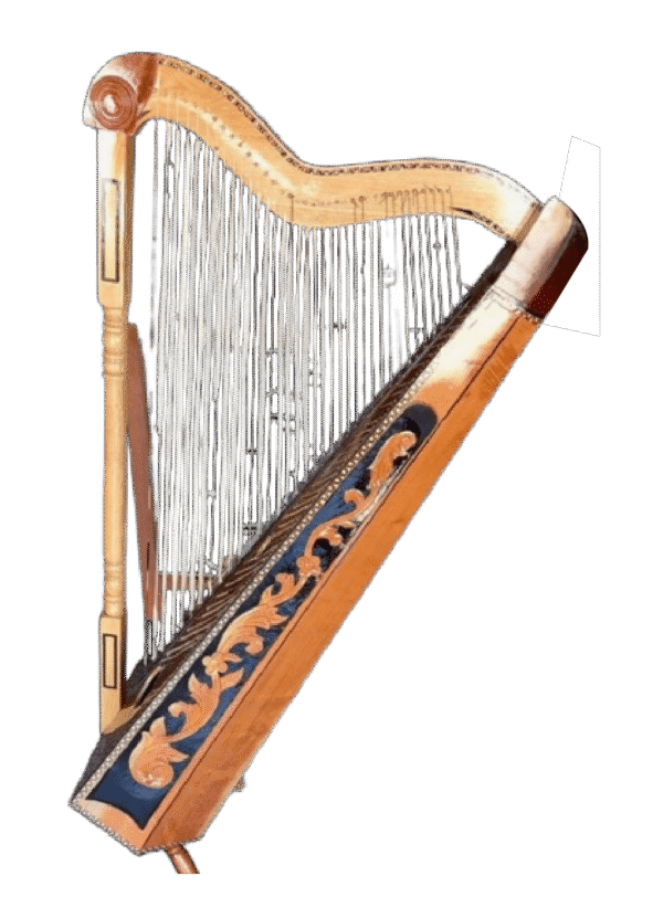 ARPAS/ HARP DON CORTEZ JALICIENSE DCA901