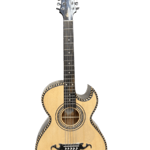 Bajo Quinto Pasaye Standard Profesional