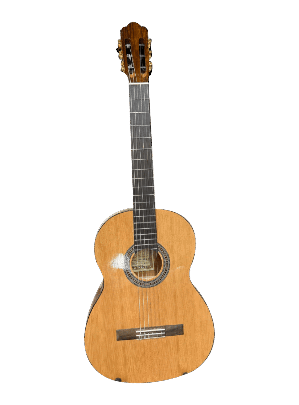 DON CORTEZ GUITARRA SONORA EC106 MARIACHI ZAPELLI