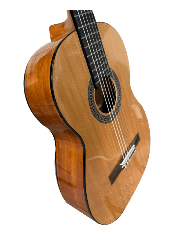 DON CORTEZ GUITARRA SONORA EC106 MARIACHI ZAPELLI - Image 2