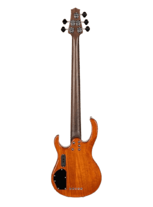 HILARIO JIMENEZ BASS GUITAR LBS5-GT_1