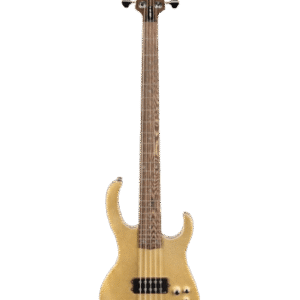 HILARIO JIMENEZ BASS GUITAR LBS5-GT