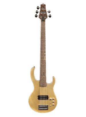 HILARIO JIMENEZ BASS GUITAR LBS5-GT