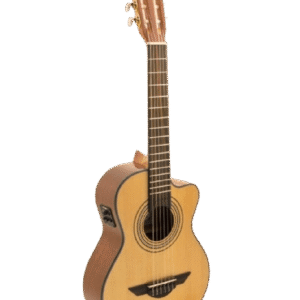 HILARIO JIMENEZ LR2CE STANDARD SERIES ELECTRIC CUTAWAY REQUINTO