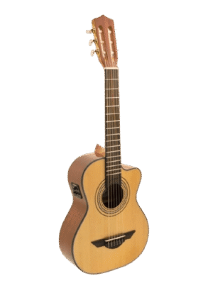 HILARIO JIMENEZ LR2CE STANDARD SERIES ELECTRIC CUTAWAY REQUINTO