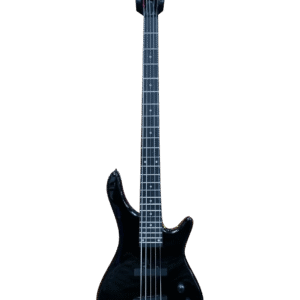 STADIUM ELECTRIC- ACUSTIC BASS