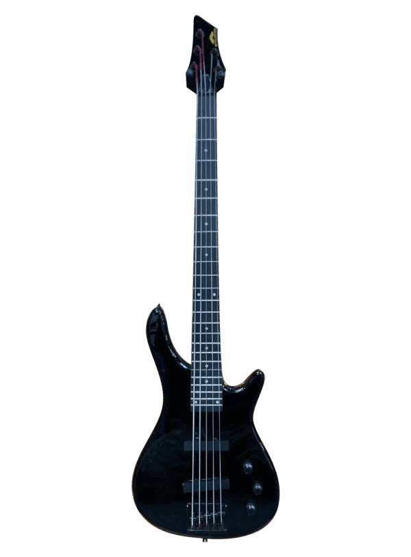 STADIUM ELECTRIC- ACUSTIC BASS