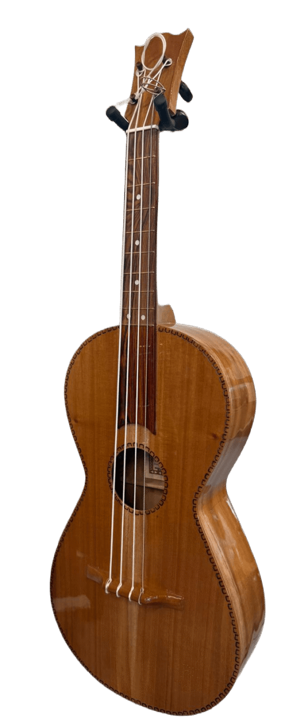 DON CORTEZ LEONA M94MQ - Image 2