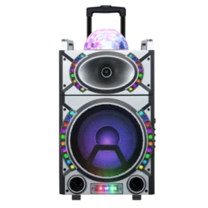 SINGLE10WOOFER