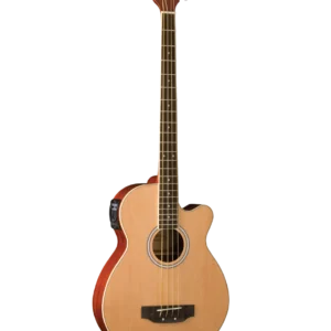 Washburn AB5 Cutaway Acoustic Electric Bass Guitar