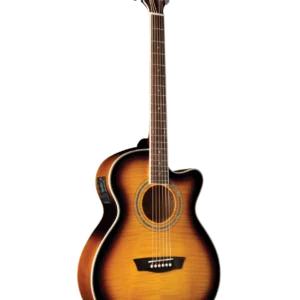 WASHBURN EA15 FESTIVAL SERIES