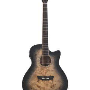 WASHBURN DFBACEB