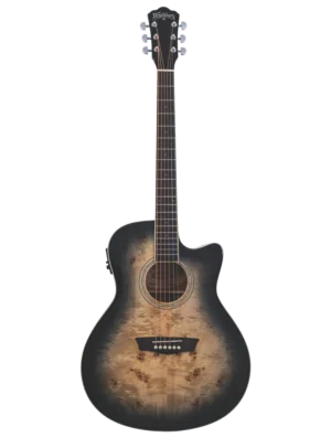 WASHBURN DFBACEB