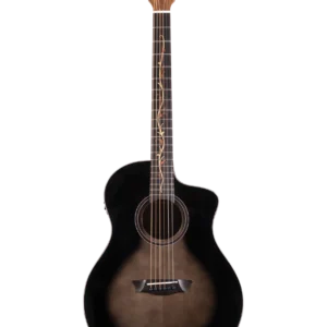 WASHBURN BELLA TONO S9V