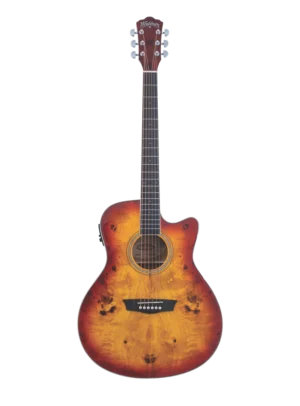 WASHBURN DFBACEA
