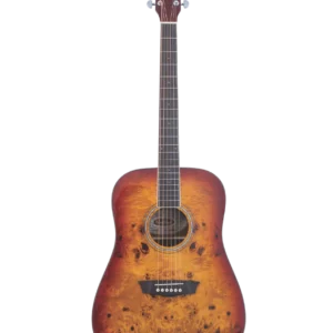 WASHBURN DFBDA