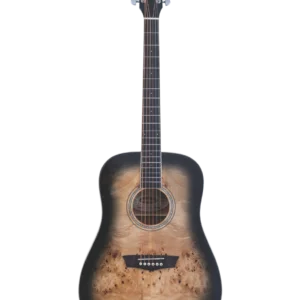 WASHBURN DFBDB
