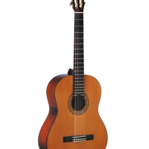 WASHBURN C5 CLASSICAL ACOUSTIC GUITAR