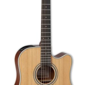 Acoustic Guitars